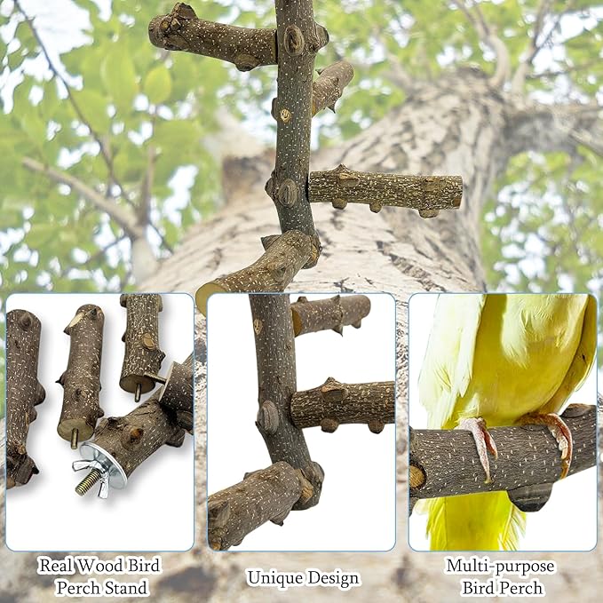 Hamiledyi Bird Perch Stand Toy Natural Wood Bird Perch Stand Birds Toy with Rotating Balls Toys for Parakeets Cockatiels Conures Budgies Finches Love Birds