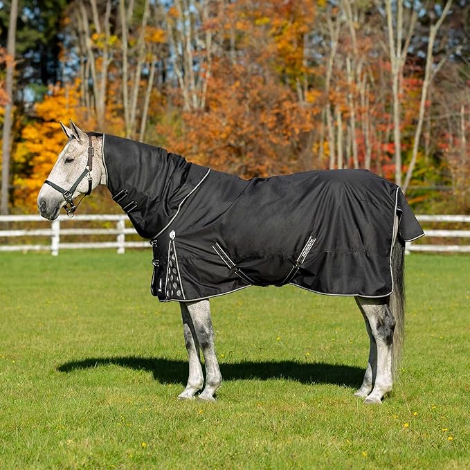 Equinavia Norse Lightweight 100g Fill Horse Rain Blanket | Waterproof Turnout Sheet - Black - 66 in - Black - 72 in