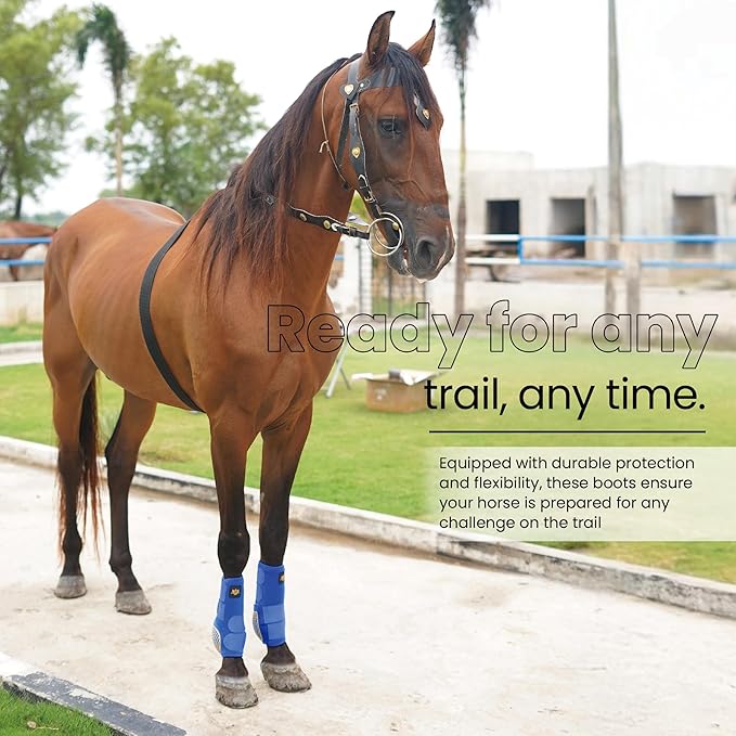 RS Premium Design Horse Boots | Comfortable, Protective & Shock-Absorbing | Best for Jump Training & Trails | OK Fabric for Ultimate Flexibility (Goldline Blue, Medium)