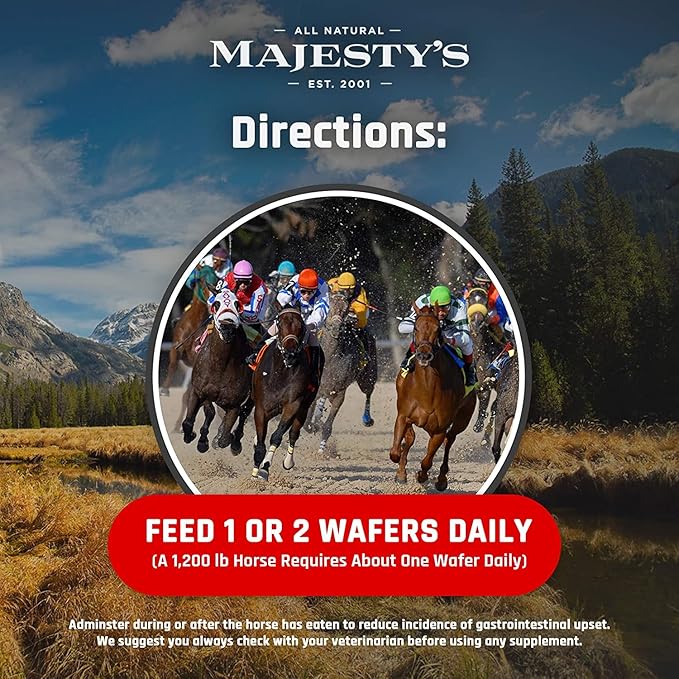 Majesty's Flex Wafers - Superior Horse/Equine Joint Support Supplement - Glucosamine, MSM, Chondroitin, Yucca, Vitamin C (Regular, 2 Pack (120 Count Total))