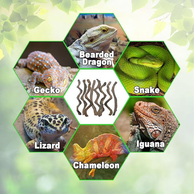 BNOSDM Reptile Forest Climbing Branch Decor Crested Gecko Climb Wood Natural Branches Tree for Snake Frog Chameleon Spider Bearded Dragon Terrarium Habitat Tank Accessories,8PCS