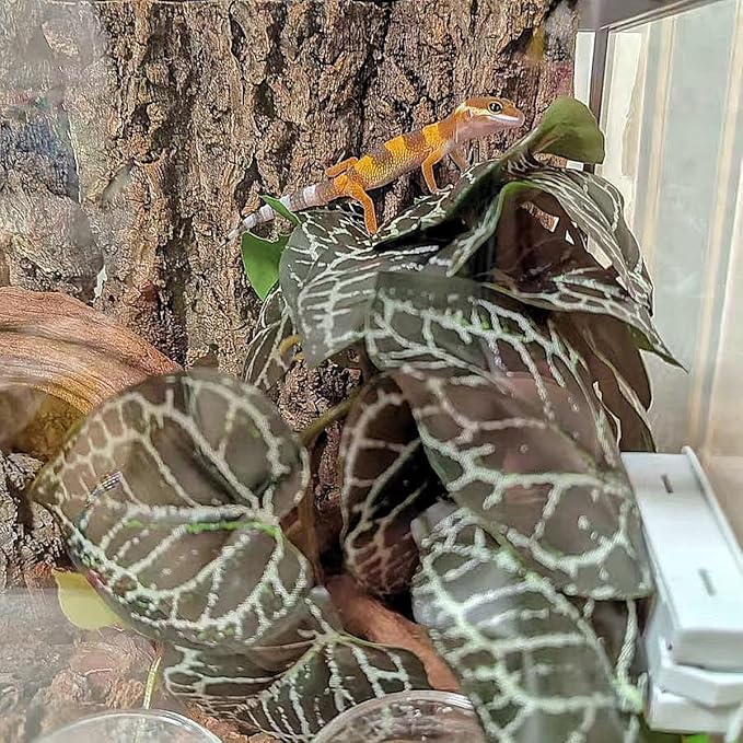 Reptile Plants for Terrarium,Amphibian Habitat Decor,Artificial Plants for Gecko Chameleon Snake Tortoise Bearded Dragon Tank Accessories with Base（Anthurium Crystallinum）