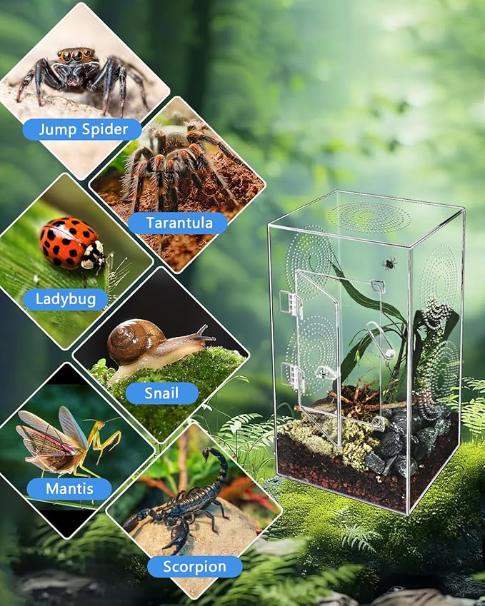Jumping Spider Enclosure - 11.7x6x6 Inch Large Acrylic Terrarium for Tarantulas - Reptile Tank With Front Opening Door - Habitat Accessories