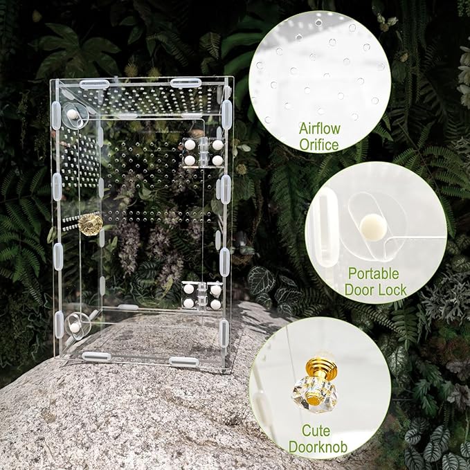 Acrylic Jumping Spider Enclosure Box: 10x6x6 Inch Transparent Habitat with Ventilation Holes, Escape-Proof Terrarium for Reptile Pet, Easy to Clean & Observe