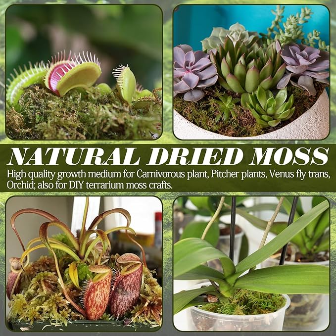 ZeeDix 2.2 lb Sphagnum Moss for Reptiles,20 qt Reptile Bedding Substrate Tank Accessories Terrarium Moss, Green Forest Moss for Leopards Geckos Snakes Turtles Frogs