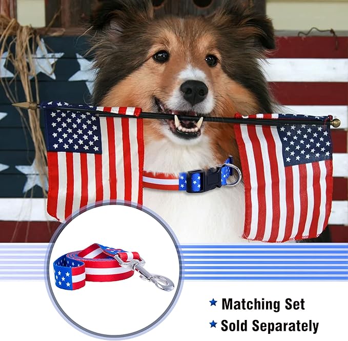 Native Pup American Flag Dog Collar- Red White and Blue- Patriotic Collars for 4th of July, USA- Adjustable Small, Medium, Large Breed Dogs (Small, Flag I)