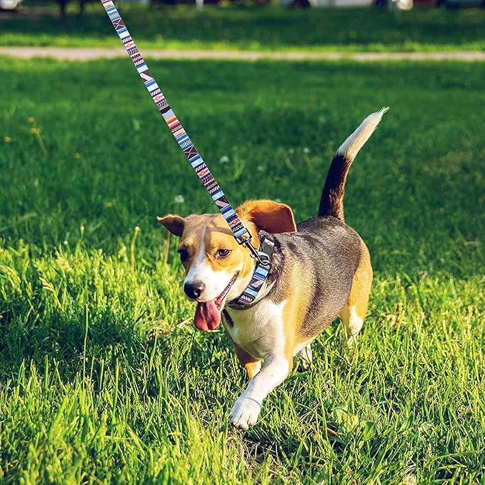 Roses&Poetry Dog Collar with Colourful Stripe Patterns, Adjustable Durable Puppy Collars for Small Medium Large Dogs (Stripe-L)