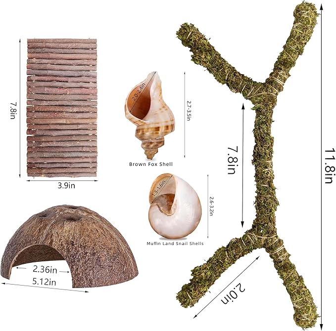 Hermit Crab Accessories – 6PCS Natural Hermit Crab Toys Climbing Bridge, Shells, Coconut Hideout, Moss and Plants for Hermit Crabs Habitat & Reptile Tank Decor