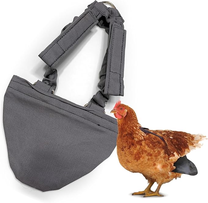 Hen Holster Bikini Diaper, Bird Diaper & Harness for Hens, Roosters, Ducks, Geese - with Removable Vinyl Liner, Adjustable Fit for Outdoor Adventures & Indoor Use - Easy to wear - S/M, Gray