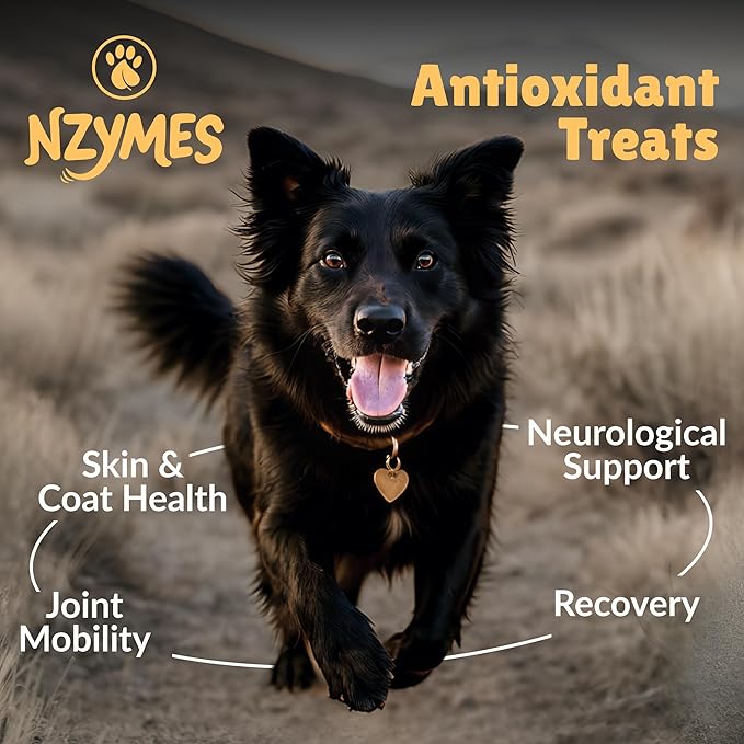 Nzymes® Antioxidant Treats - for Dogs Joints, HIPS, Paralysis, Skin, Coat, Hair Loss, Aging, Digestion, Neurological, Seizures - 180 Treats - Made in The USA
