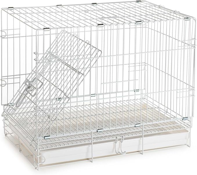 Metal Foldable Bird Parrot Travel Vet Carrier Cage with Wooden Perch and Stainless Steel Dishes Prevent Beaks Out