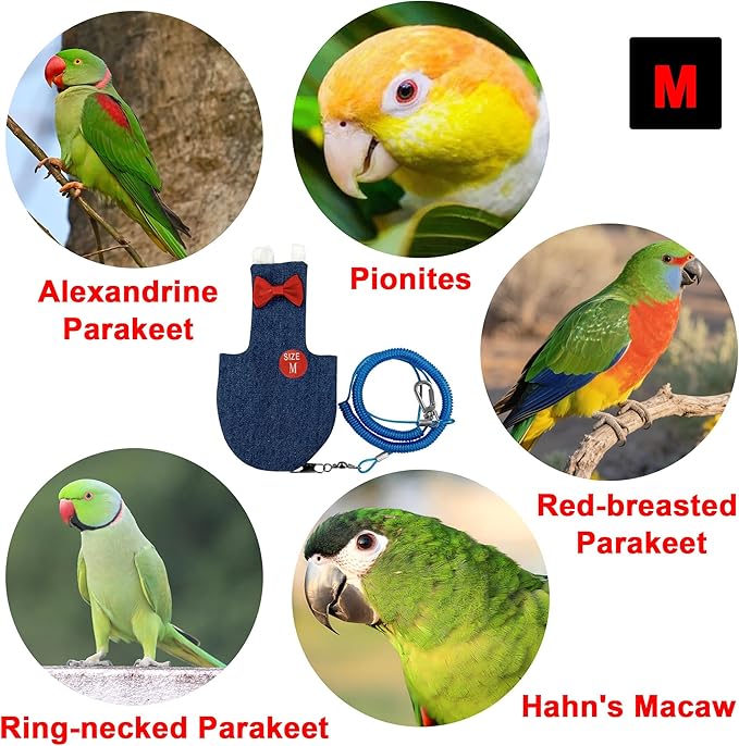 Parrot Clothes - Diaper Bird Flight Suit with Adjustable Straps, Harness, Diaper with Training Rope (1PCS, Denim, M-Code)