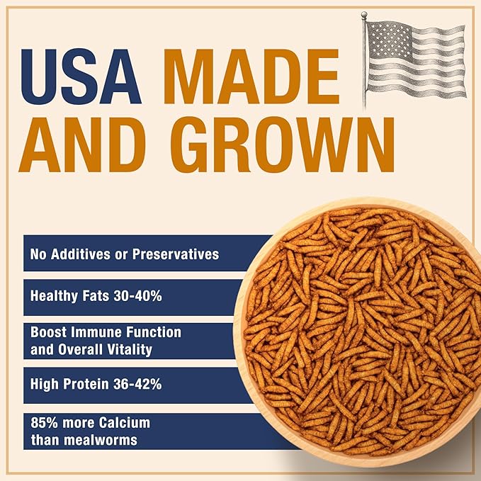 USA Grown Black Soldier Fly Larvae for Chickens - 100% Natural Dried Mealworms for Chickens - Grubs with 85X More Protein Chicken Treats for Laying Hens - Birds Feed Supplement for Ducks & Reptiles