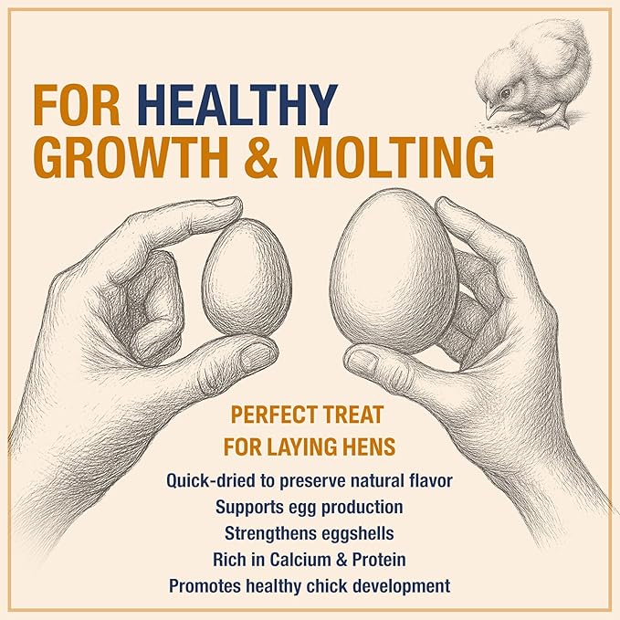 USA Grown Black Soldier Fly Larvae for Chickens - 100% Natural Dried Mealworms for Chickens - Grubs with 85X More Protein Chicken Treats for Laying Hens - Birds Feed Supplement for Ducks & Reptiles