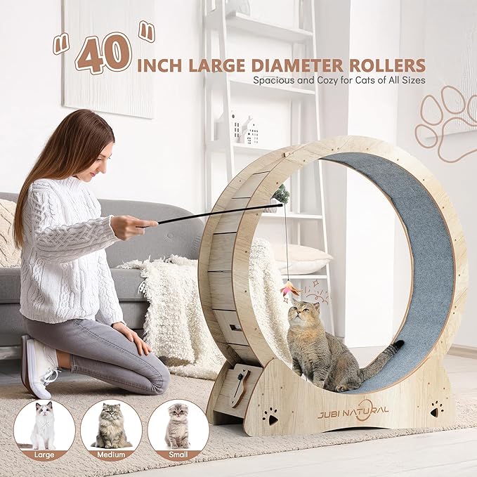 Cat Exercise Wheel, 40" Cat Running Wheel for Indoor Cats with Quiet Carpeted Runway, Cats Treadmill Wheels with Locking Mechanism, Cat's Weight Loss and Health