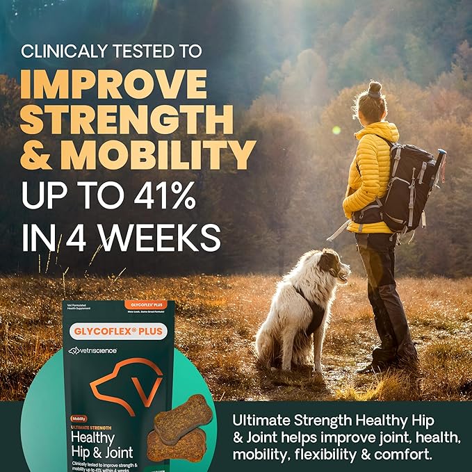 VetriScience Ultimate Strength Healthy Chews– Dog Glycoflex Plus Hip and Joint Supplement Glucosamine, MSM for Dogs & Green Lipped Mussel for Dogs, Duck, 60Count - New Look