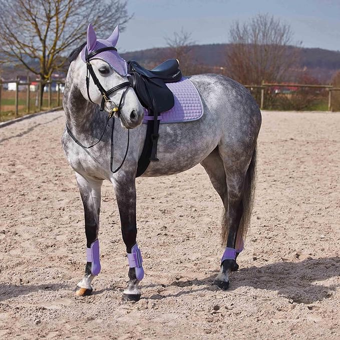 HORZE Adepto Open Front Tendon Boots | Durable Shell with Neoprene Lining - Languid Lavender Purple - Pony