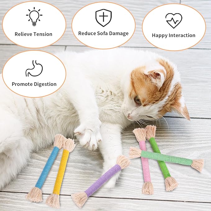 Retro Shaw 6Pcs Kitten Toys, Cat Toys Chew Ropes with Refillable Natural Catnip, Safe Teething Cleaning Kitty Toys for Indoor Cats, Christmas Interactive Pet Nip Kicker Toy