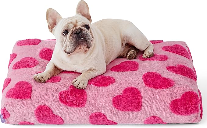LE SURE Dog Beds Medium Size-Thick Shredded Chopped Foam Pet Bed Indoor with Removable Cover, Cute Modern Fuzzy Plush & Anti Slip Bottom, Pink