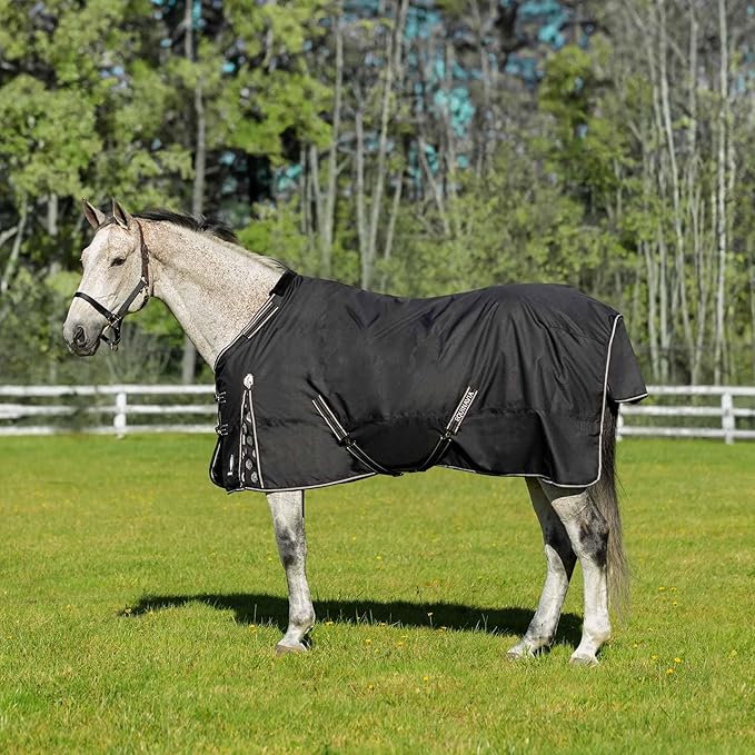 Equinavia Norse Lightweight 100g Fill Horse Rain Blanket | Waterproof Turnout Sheet - Black - 66 in - Black - 84 in