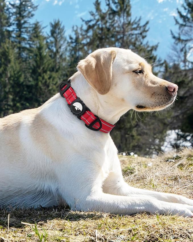 Joytale Airtag Dog Collar, Reflective Pet Collar with Waterproof AirTag Holder, Dual D-Rings, Soft Padded Adjustable for Extra Small and Puppy Dogs, Red, XS