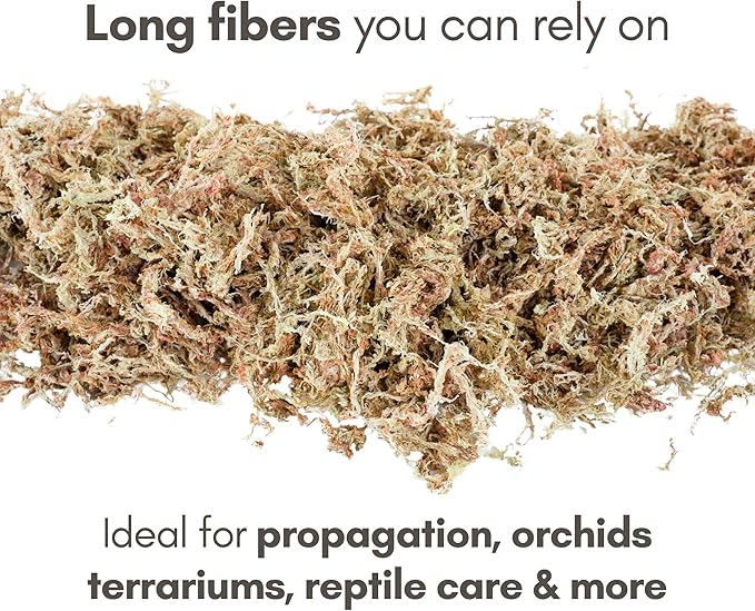 Mossify Premium Sphagnum Moss for Plants 1kg, 2.2 lbs - Long Fiber Moss for Plants Indoor, Orchids, Terrariums, Gardening, Reptiles – Moisture Plant Moss for Propagation, Soil & Habitat Bedding