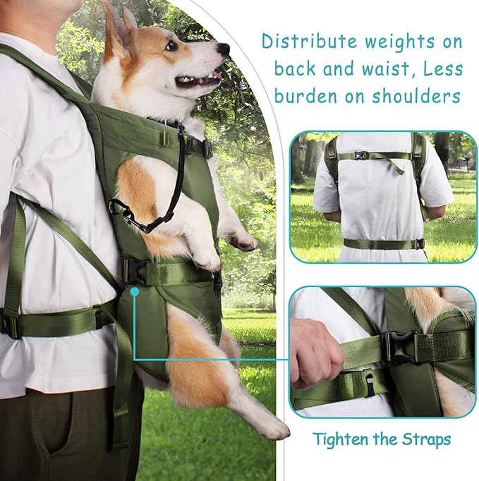 PetBonus Pet Front Dog Carrier Backpacks, Adjustable Pet Backpack, Legs Out Easy-fit Puppy Chest Carrier for Medium Small Dogs, Hands Free for Hiking, Cycling (Army Green, L)