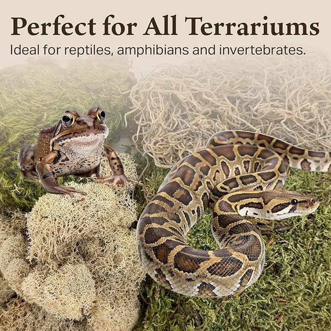 The Habitat Life - Natural Variety Pack - Mix of Reindeer, Mood, Sheet & Spanish Moss - for All Terrariums - Humidity Control - Breathable Bedding - Dye-Free & Safe - Medium - 2 Pack