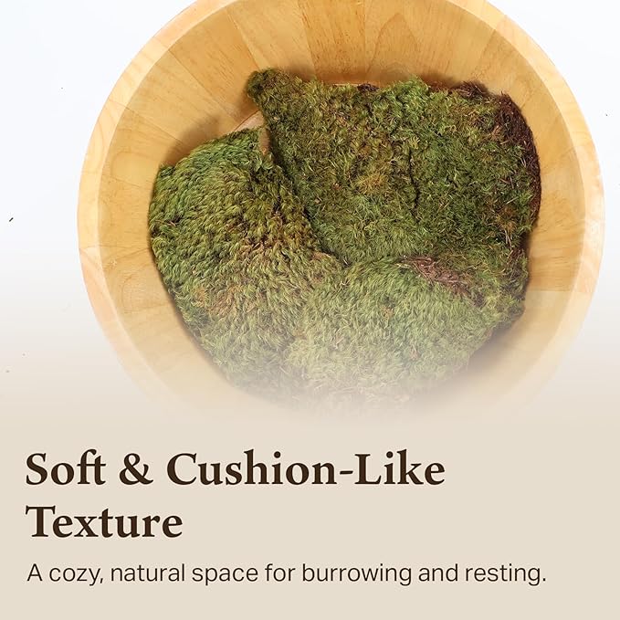 The Habitat Life - Natural Mood Moss - for Reptiles, Amphibians & Invertebrates Terrariums - Moisture-Retaining - Humidity Control - Soft Bedding - Dye-Free & Safe - Medium - 1 Pack