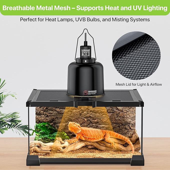 Reptile Terrariums Mini Glass Tank 12" x 8" x 6" Habitat, Top-Opening Mesh Lid with Latch, 360° Clear View, Ventilated Enclosure for Jumping Spiders, Tarantulas, Isopods & Froglets