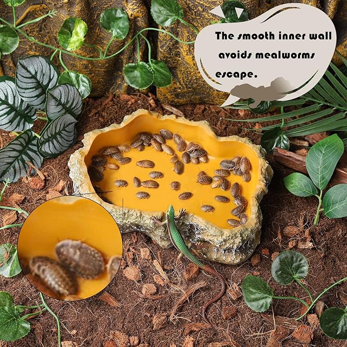 IBWell 8 Inch Reptile Food Dish Escape Proof Reptile Feeding Dish Resin Reptile Water Food Bowl for Bearded Dragon Chameleon Frog Snake Turtle Leopard Gecko