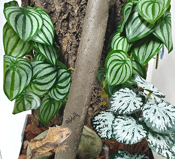 Woyrise 2 Pack Reptile Plants, Terrarium Hanging Plant Vines, Artificial Leaves with Suction Cup, Bearded Dragon Tank Accessories for Gecko Lizard Snake Frog Tortoise Decorations - Calathea Orbifolia
