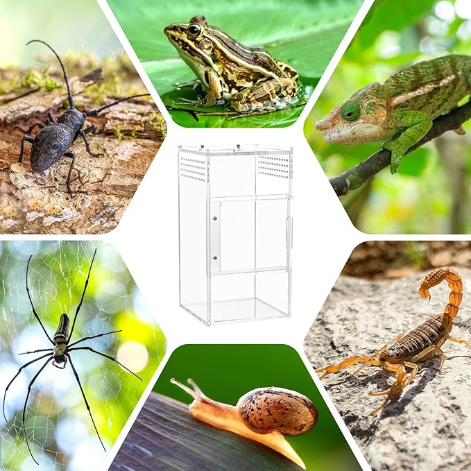 Jumping Spider Enclosure, One-Piece Fully Transparent Acrylic Reptile Enclosure, 3x3x6 inch Terrarium for Tree Frogs, Tarantulas, Mantises, Jumping Spiders