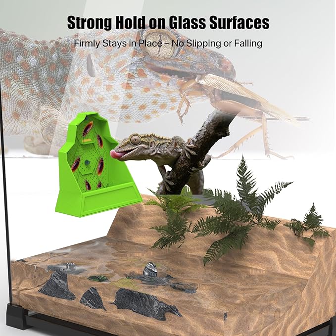 Reptile Insect Feeding Bowl with Suction Cup – Anti-Escape Corner Dish for Gecko, Frog, Chameleon – 6.5"x2.5"x6"