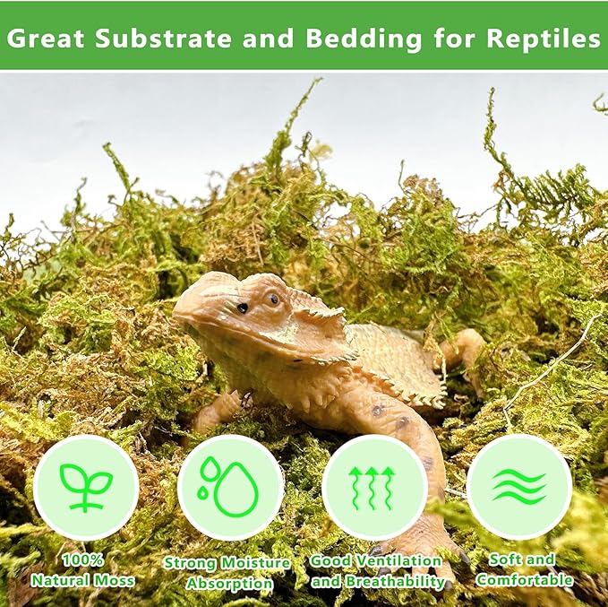 BNOSDM 26OZ Natural Sphagnum Moss for Reptiles,35QT Reptile Dried Live Moss Substrate for Terrarium Plants,Frogs Peat Mosses Bedding for Leopard Gecko,Tortoises,Snake,Lizards,Salamanders