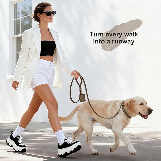 Didog Soft PU Leather Dog Collar, Stylish Quick Released Dog Collar for Large Dogs, Easy Clean Adjustable Pet Collar for Daily Walking, Brown, L Fit 15-23" Neck
