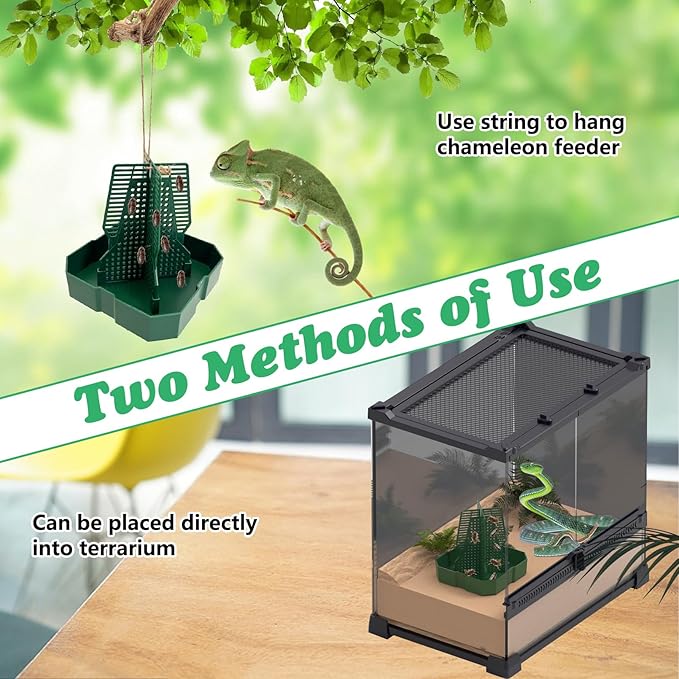 Chameleon Feeding Bowl Hanging Bearded Dragon Feeder Bug Bowls with Rope and Tweezers Mounted Insect Reptile Feeder Box for Lizard Gecko Frog (Green,Large)