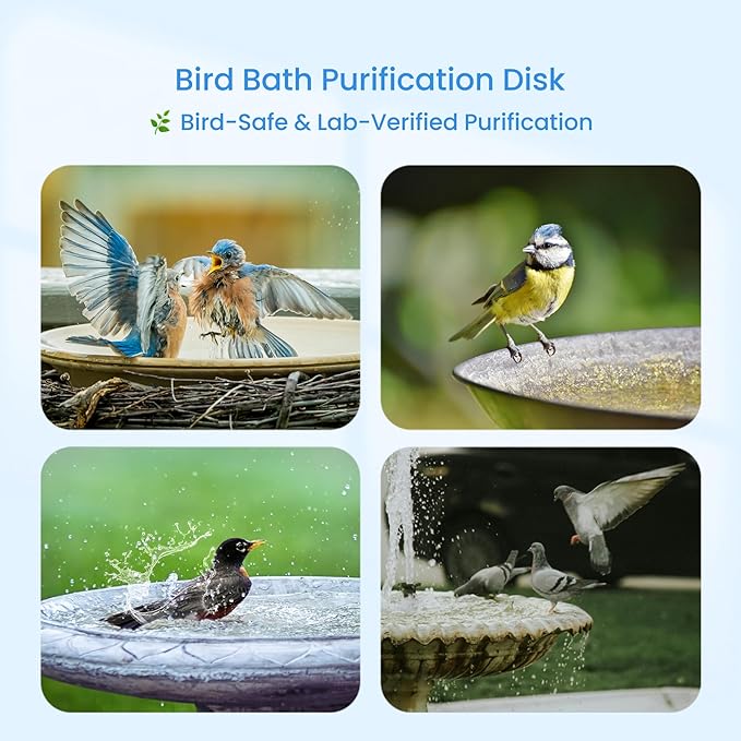Bird Bath Purification Disk, 99.99% Copper Disc for Bird Bath Copper Disk Cleaner Safe for Outside Birds Fountain Disc Accessories, Fit for Outdoor Birdbath Bowl (2 pcs)