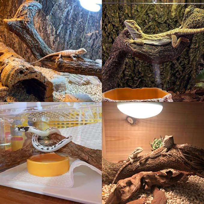 BNOSDM Reptile Forest Climbing Branch Decor Crested Gecko Climb Wood Natural Branches Tree for Snake Frog Chameleon Spider Bearded Dragon Terrarium Habitat Tank Accessories,3PCS