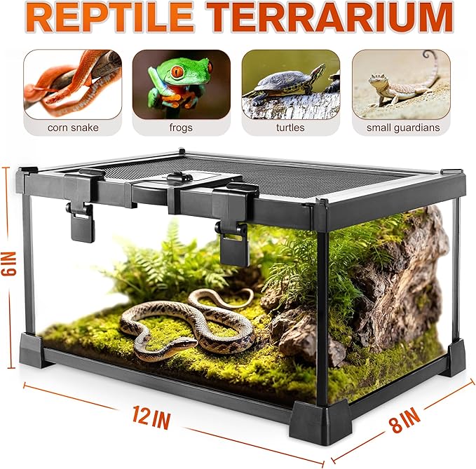 Mini Reptile Glass Terrarium Vivarium 12'' x 8'' x 6'' Full View Tank Small Amphibians Glass Habitat Cage with Feeding Slot & Box Lock Buckle