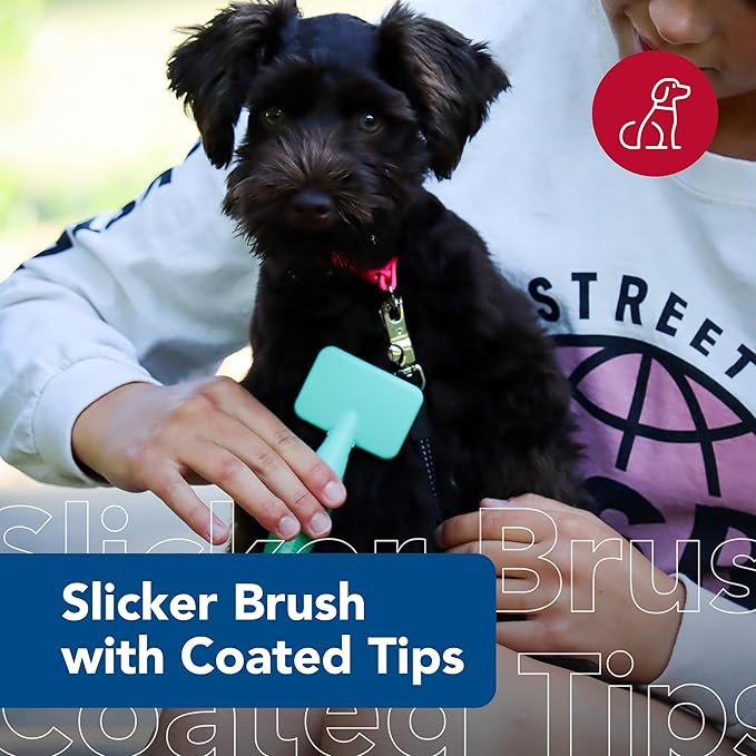 Coastal Pet Li'l Pals Dog Slicker Brush with Coated Tips - Dog Grooming Brush for Small Breeds & Puppies - One Size (3.25” x 7.25”)