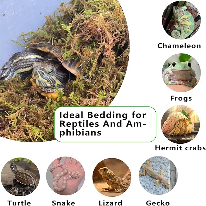 BNOSDM 26OZ Natural Sphagnum Moss for Reptiles,35QT Reptile Dried Live Moss Substrate for Terrarium Plants,Frogs Peat Mosses Bedding for Leopard Gecko,Tortoises,Snake,Lizards,Salamanders