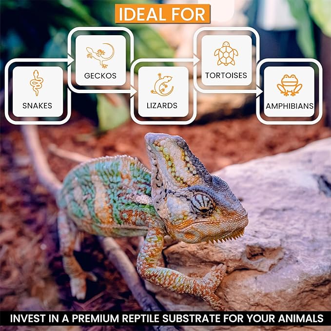 ReptiChip Reptile Substrate Coconut Chip Bedding 72 Quart Compressed Organic Coco Husk Block for Snake Habitat, Ball Python Terrarium, Turtle Tanks, Tortoise Enclosure (10 Pk)