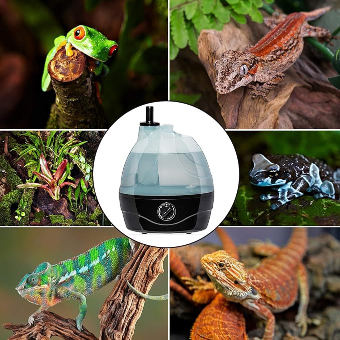 Evergreen Pet Supplies Reptile Fogger & Humidifier - Adjustable Fog Output for Mini Terrarium Fogger - 2 L Tank with Auto Shut-Off for Tortoise Humidifier - 2 L, Black/Clear