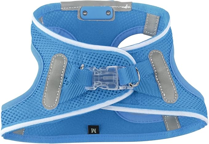 Light Up Dog Harness,Rechargeable LED Dog Harness for Small Medium Large Dogs,Reflective Lighted Safety Vest for Night Walking & Camping,Lightweight & Adjustable,Sky Blue,XS