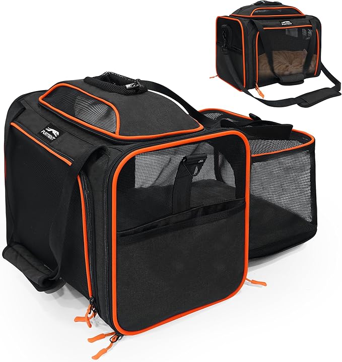 TSA Approved Expandable Cat Carrier with Top and Side, 16x11x11 Soft-Sided Pet Carrier for Small Cats and Dogs, Foldable Travel Carrier with Anti-Scratch Mesh and Safety Belt, Black