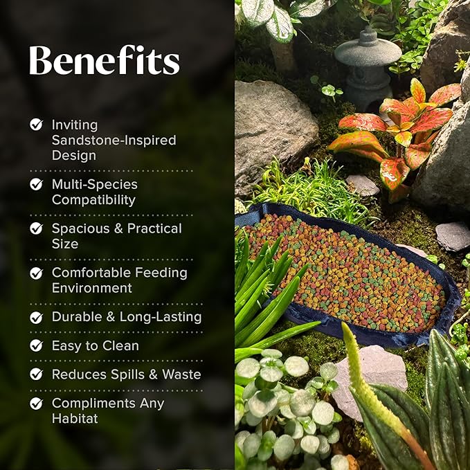 Gecko Cave Reptile Feeding Tray – Naturalistic Pet Dish for Lizards, Snakes, Bearded Dragons, Tortoises & Turtles - Burnt Titanium