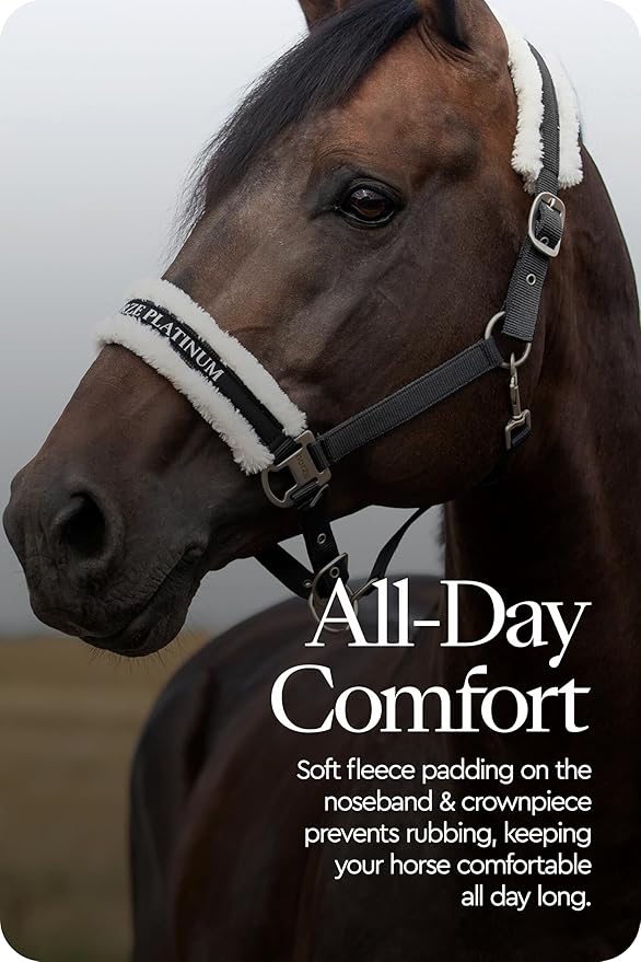 HORZE Howard Soft Fleece Padded Adjustable Polyester Horse Halter - Black - Cob