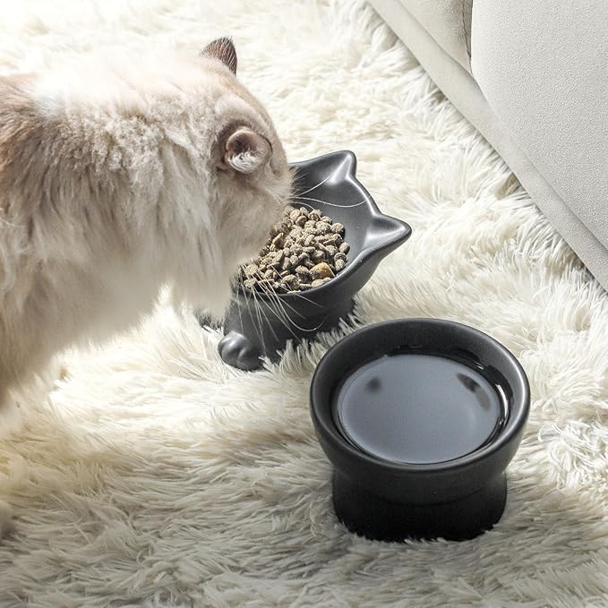 Nihow Elevated Cat/Dog Bowls Set : 5 Inch Ceramic Raised Cat Food and Water Bowl Set for Protecting Pet's Spine - Feeding & Watering Supplies for Pets- Matte Black (2PC)