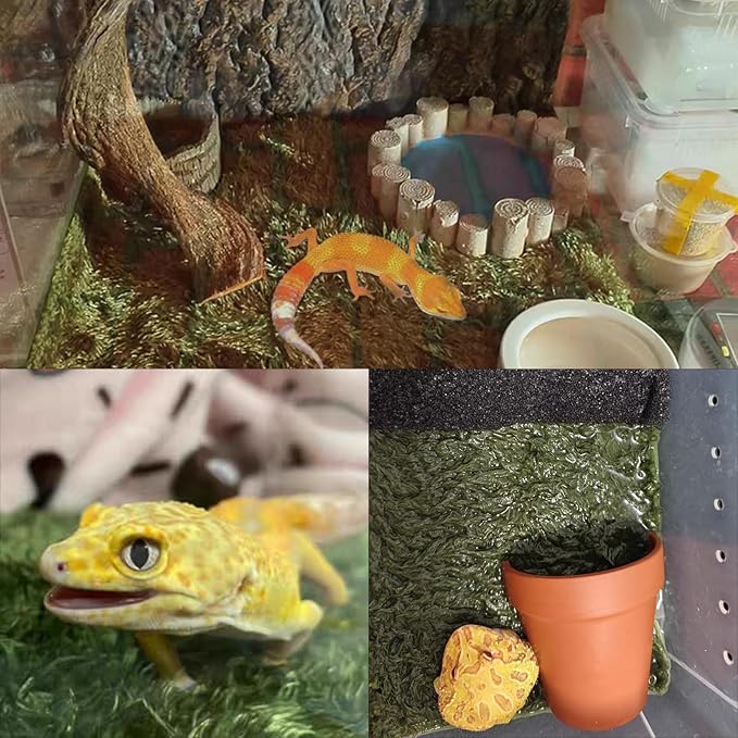 kathson 2Pcs Reptile Carpet Mat,35.4 x 17.7 in Terrarium Bedding Substrate Liner,Tortoise Imitation Rainforest Crawler Mats for Snakes Bearded Dragon Gecko Chameleon Turtles Iguana